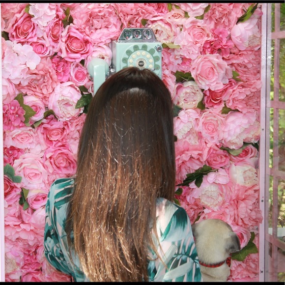 Meet your Posher, Johana - Picture 6 of 6